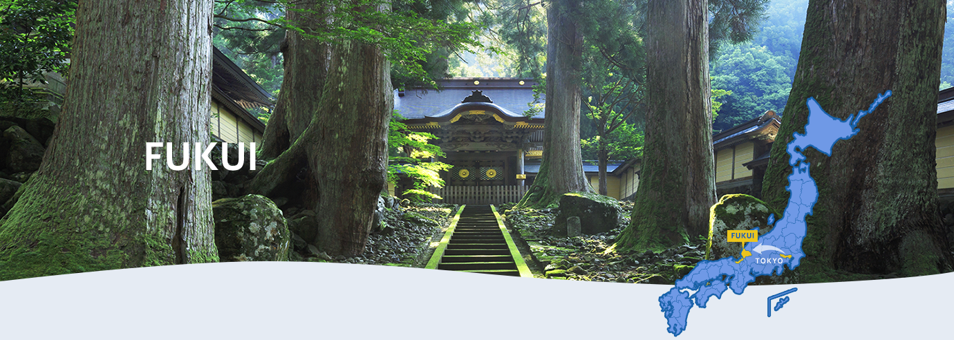 FUKUI