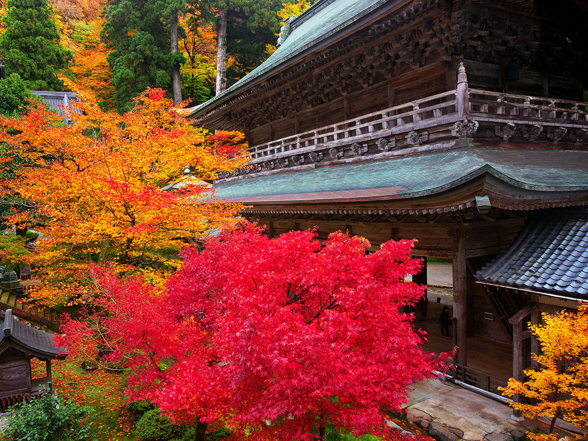 Soto Zen Daihonzan Eiheiji Temple_3