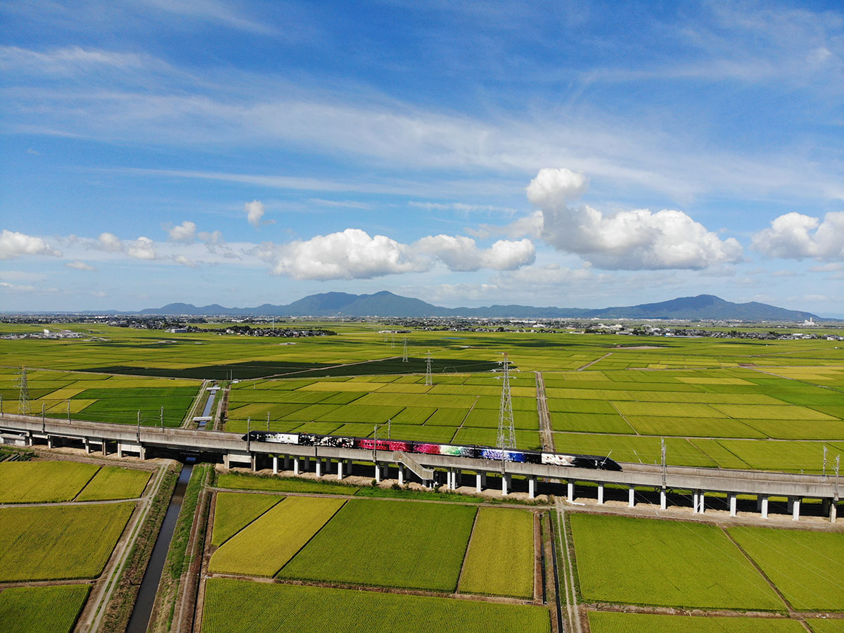 Genbi Shinkansen (art viewing, countryside tour & light dining train excursion) *Service ended in December 2020_2