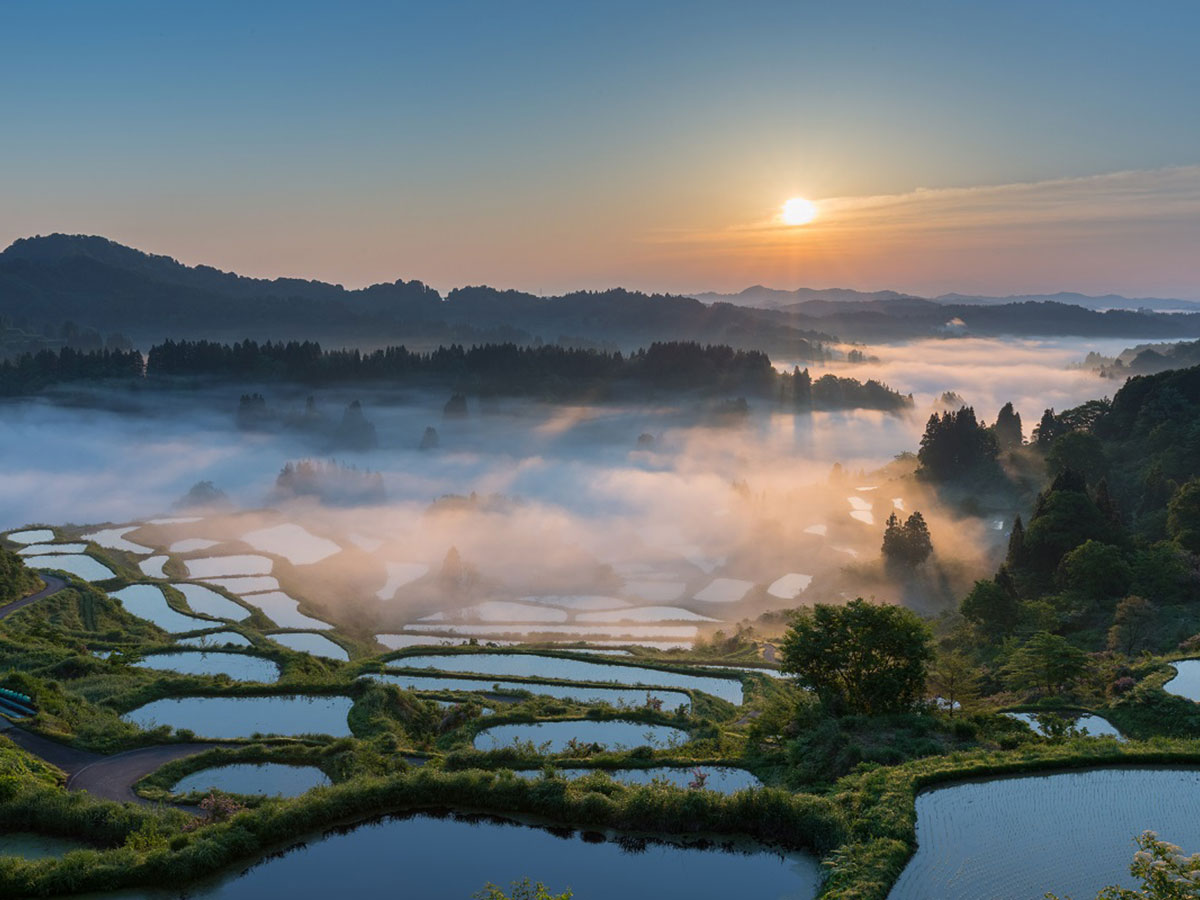Hoshitoge Rice Terraces_1