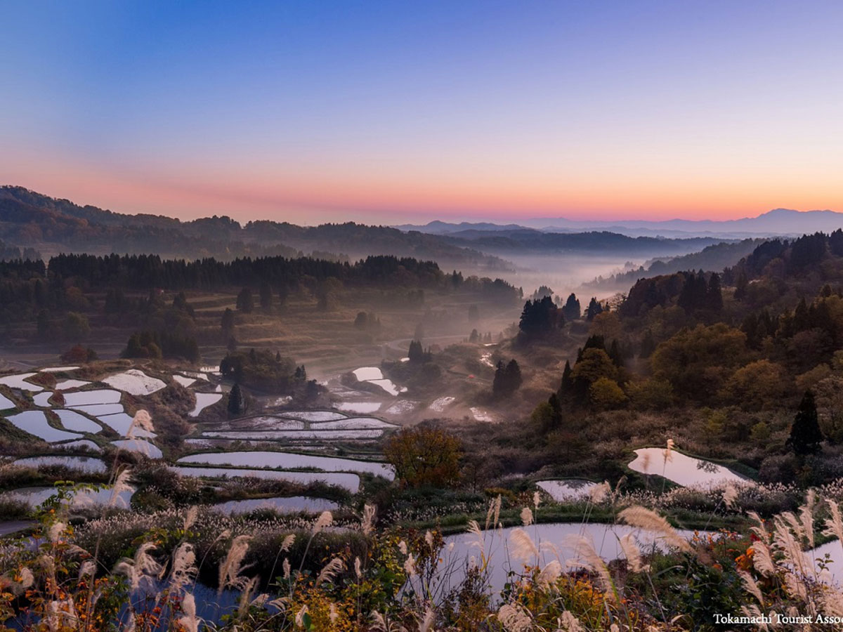 Hoshitoge Rice Terraces_2