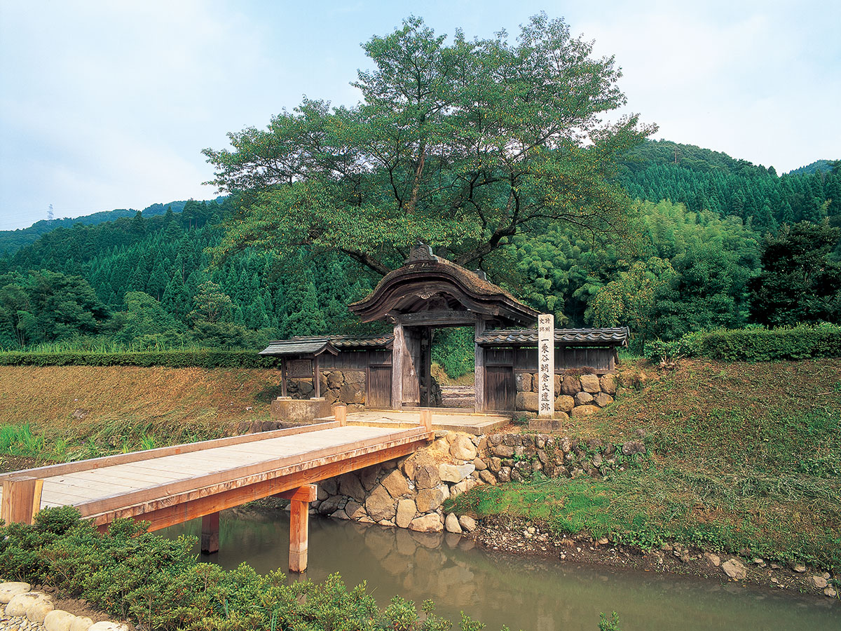 Ichijodani Asakura Clan Ruins_1