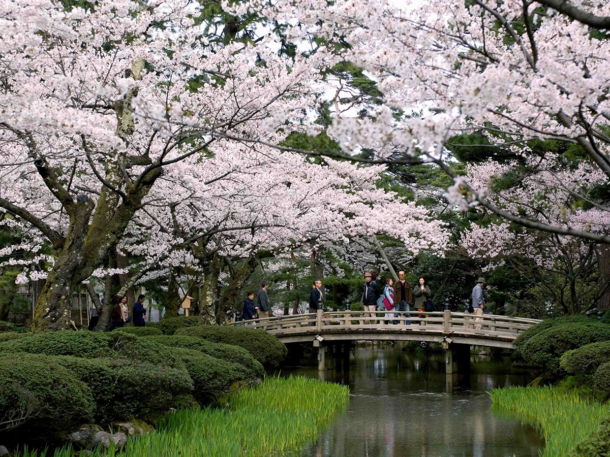 Kenroku-en Garden_2