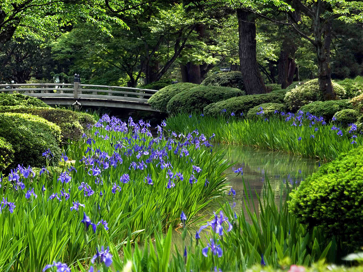 Kenroku-en Garden_3