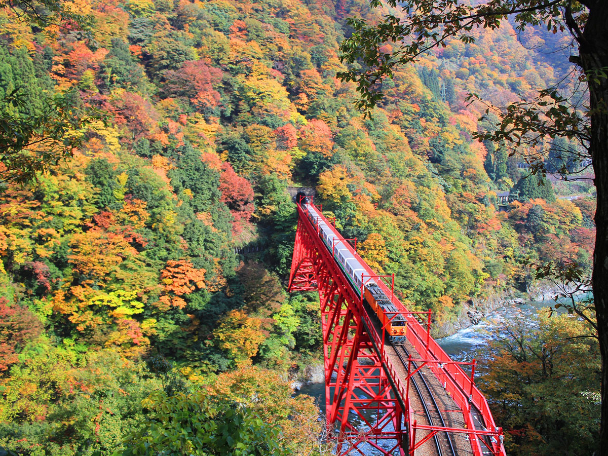 Kurobe Gorge Railway_1