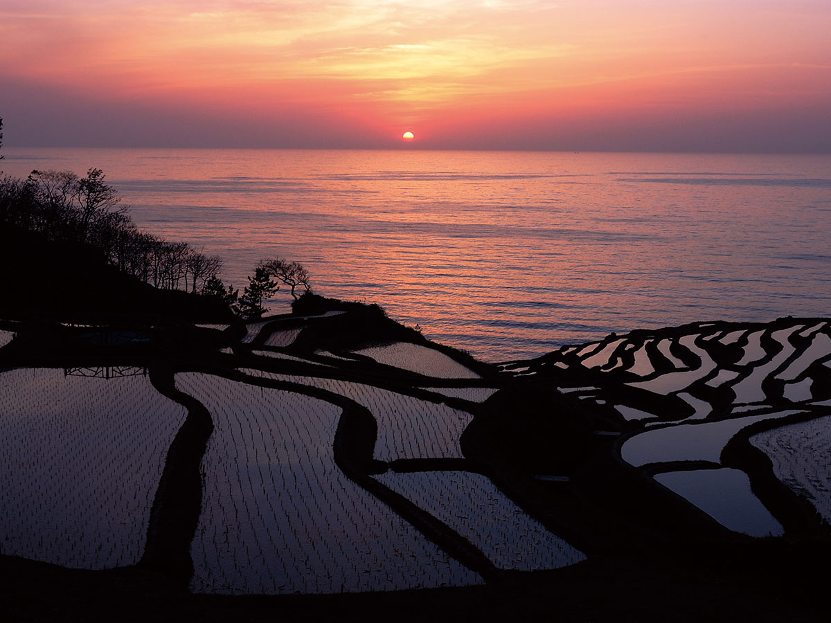 Shiroyone Senmaida Rice Terraces_2