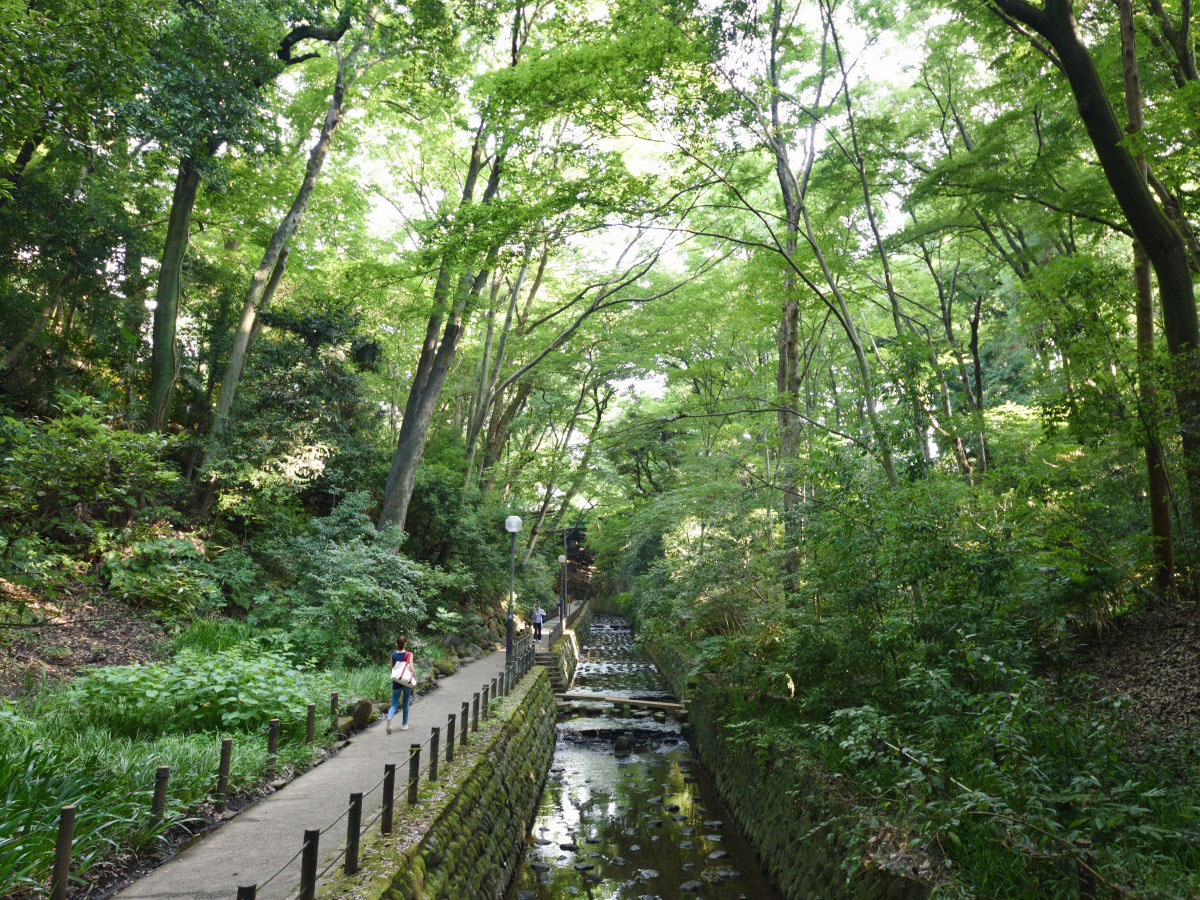Todoroki Valley_3