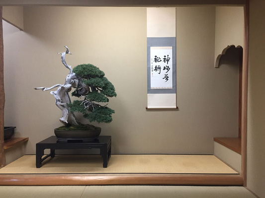 Shunkaen BONSAI Museum_2