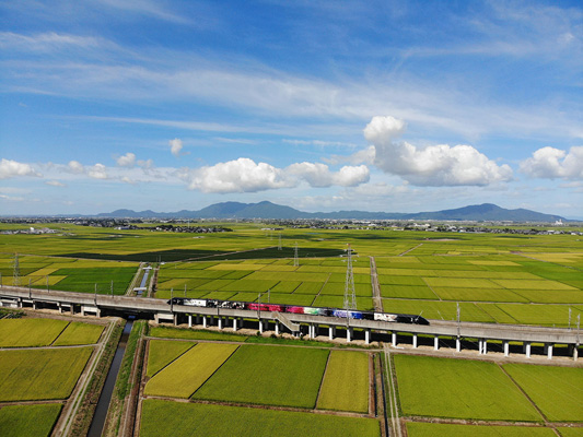 Genbi Shinkansen (art viewing, countryside tour & light dining train excursion) *Service ended in December 2020_2