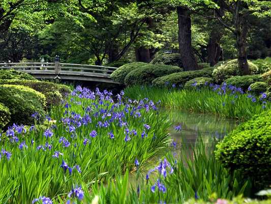 Kenroku-en Garden_3