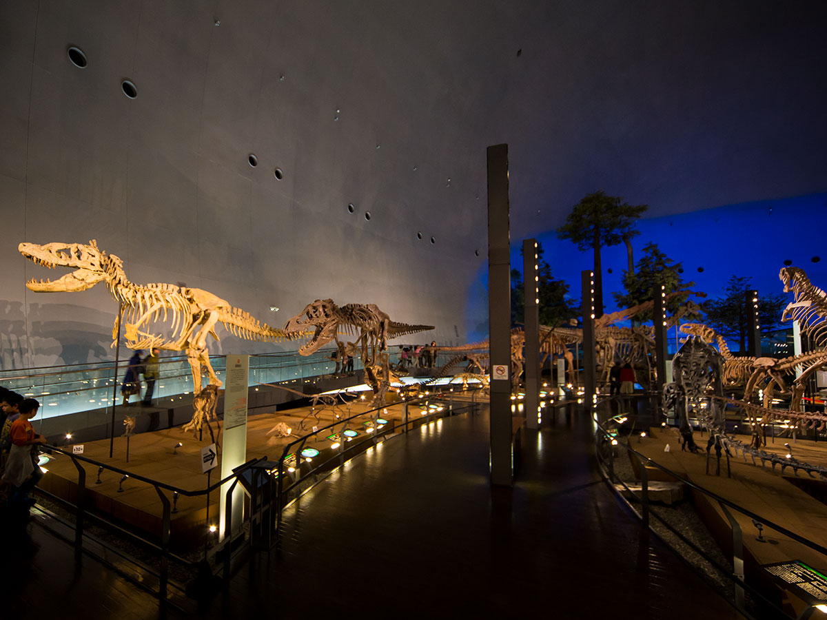 Fukui Prefectural Dinosaur Museum_1